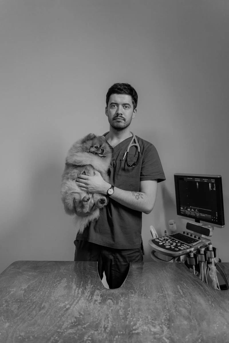 Hospital Veterinário de Bauru - equipe