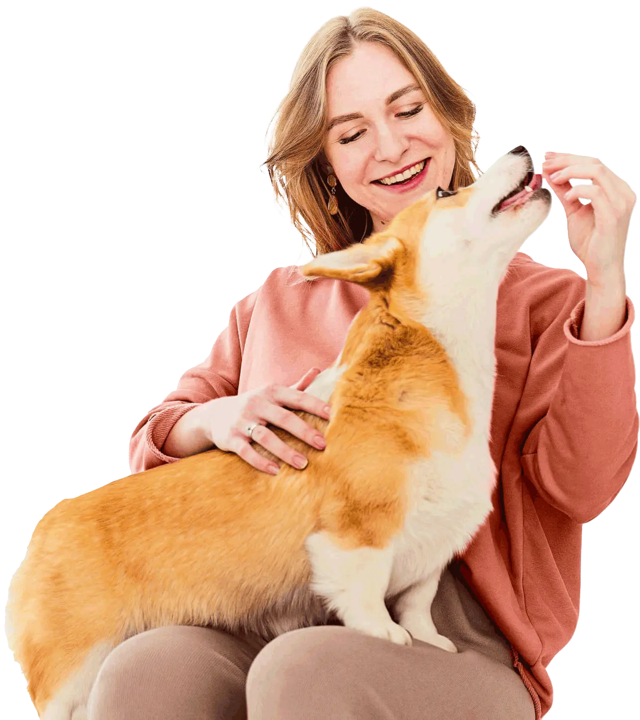 Hospital Veterinário de Bauru